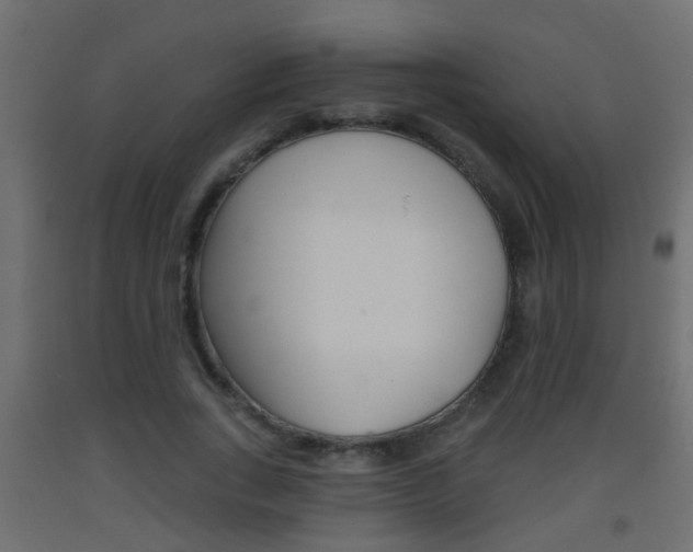 X0000093500735200710121042