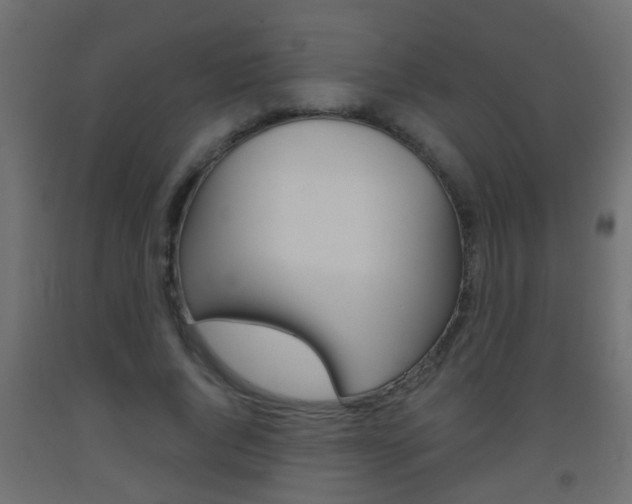 X0000093500736200710121042