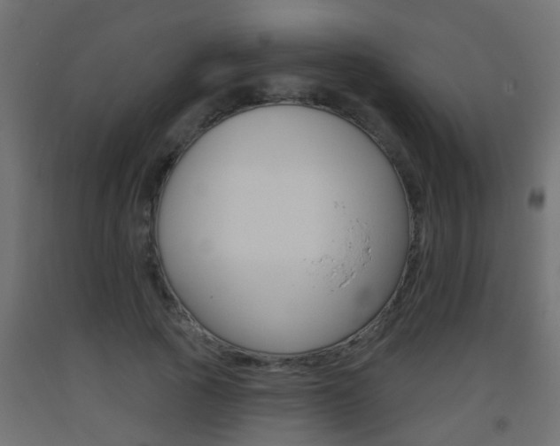 X0000093500737200710121043