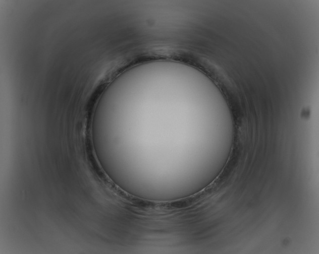 X0000093500739200710121043