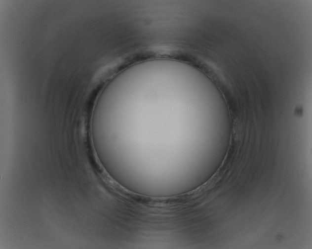 X0000093500740200710121043