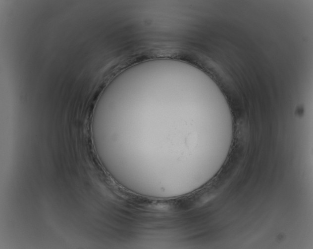 X0000093500741200710121043