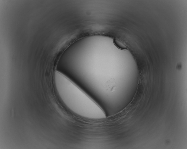 X0000093500742200710121043