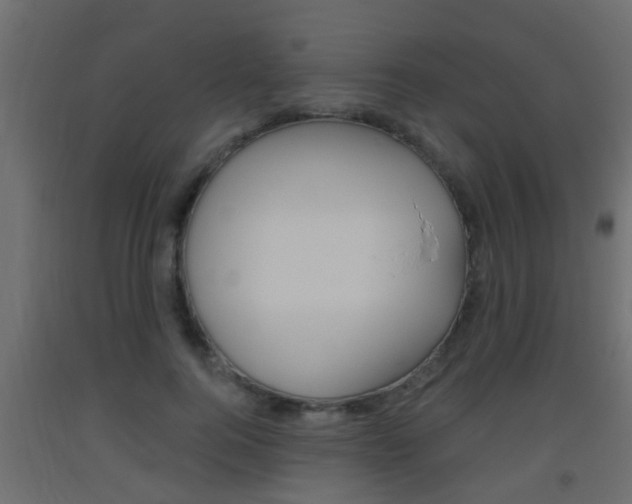 X0000093500744200710121043