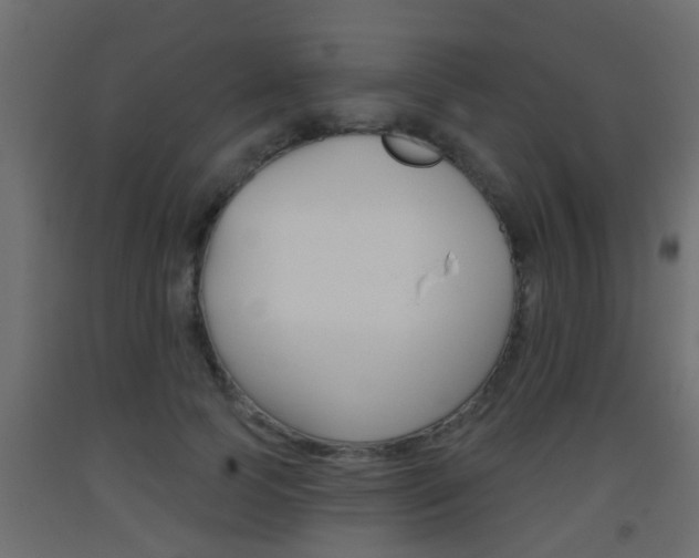 X0000093500745200710121043