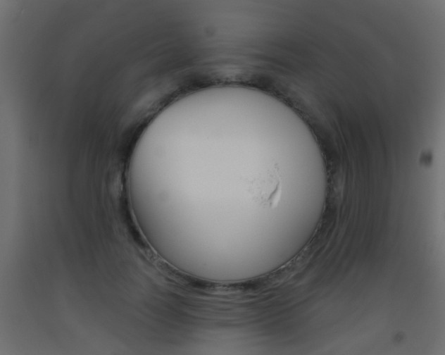 X0000093500746200710121043