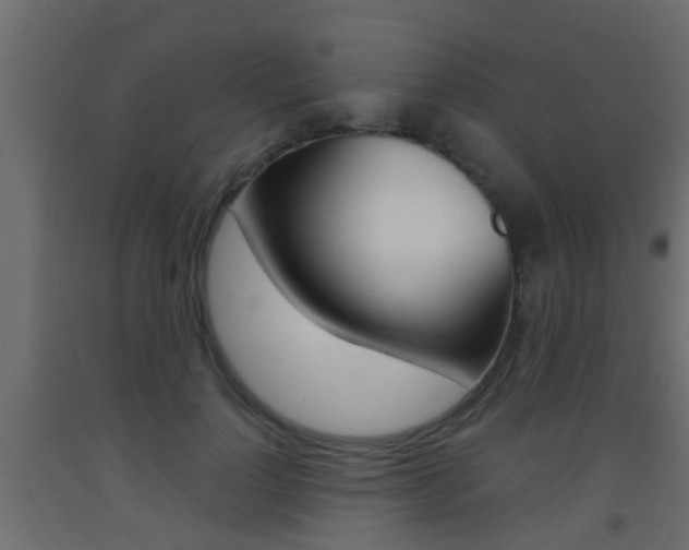 X0000093500748200710121043
