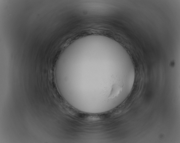 X0000093500749200710121043