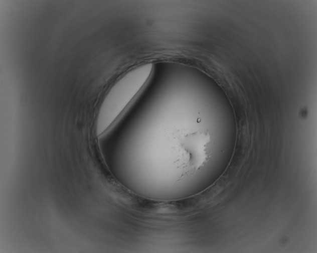 X0000093500750200710121043
