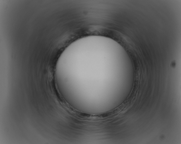 X0000093500751200710121043