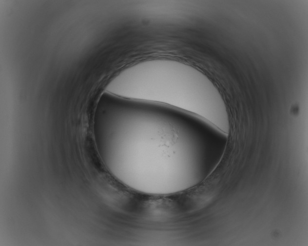 X0000093500752200710121043