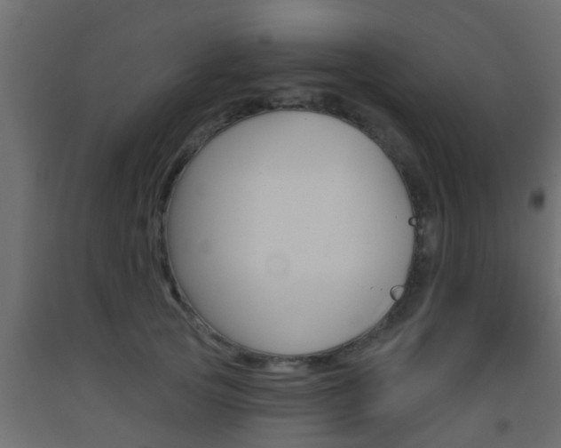 X0000093500753200710121043