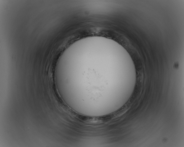X0000093500754200710121043
