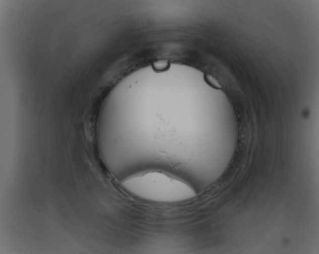 X0000093500755200710121043