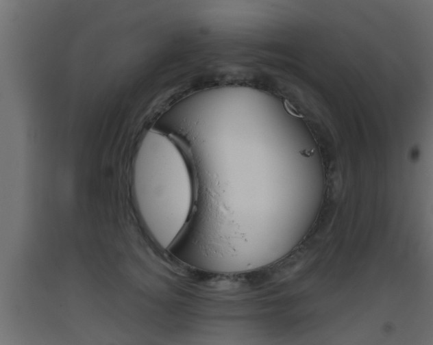 X0000093500756200710121043