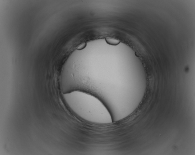 X0000093500757200710121043