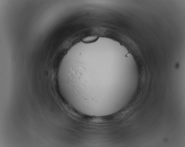 X0000093500759200710121043