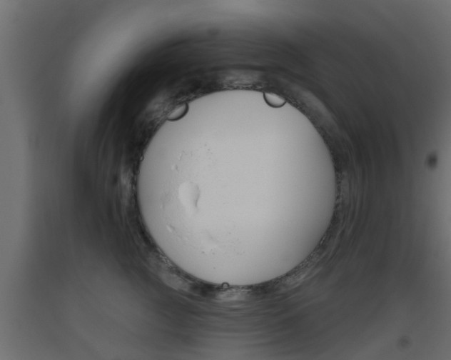 X0000093500761200710121043