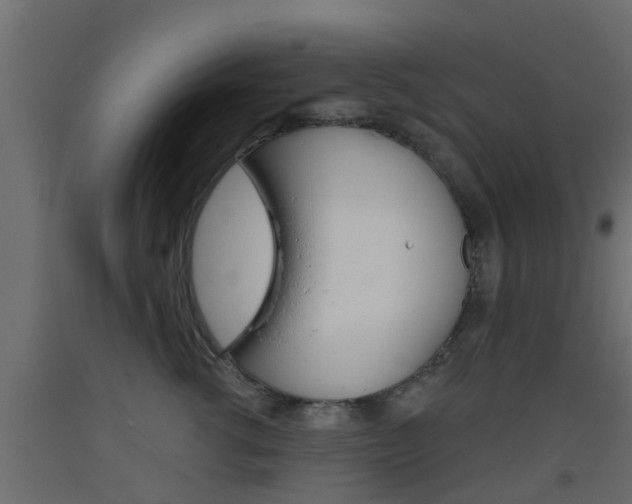 X0000093500762200710121043