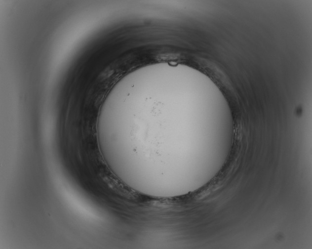 X0000093500763200710121043