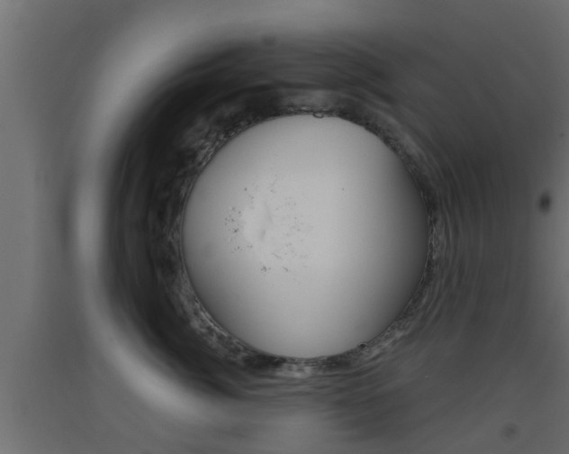 X0000093500764200710121043