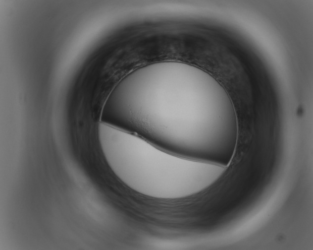 X0000093500766200710121043
