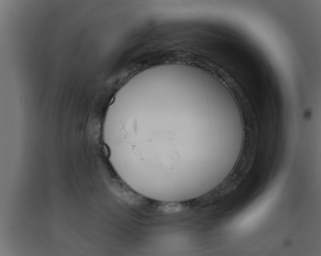 X0000093500767200710121043