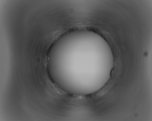 X0000093500768200710121043