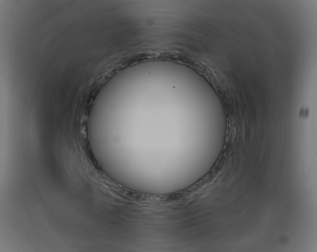 X0000093500770200710121042