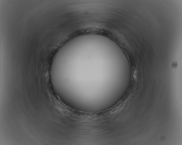 X0000093500771200710121042