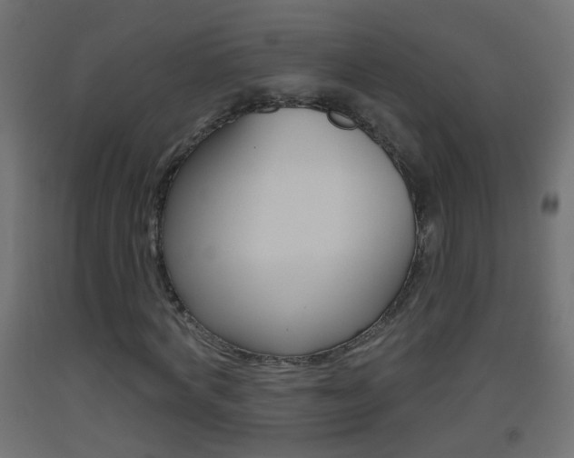 X0000093500772200710121042