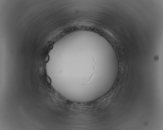 X0000093500774200710121042