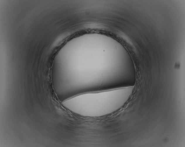 X0000093500775200710121042
