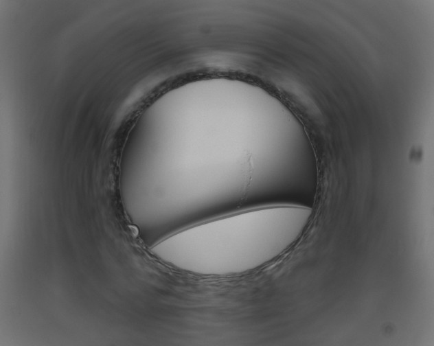 X0000093500776200710121042