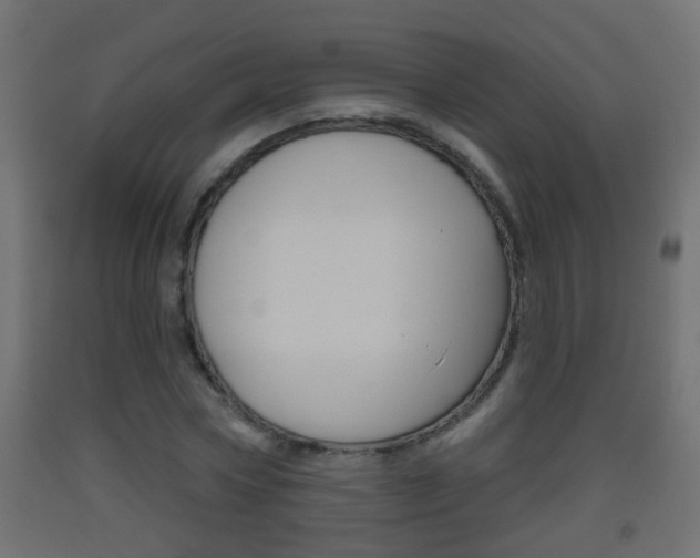 X0000093500778200710121042
