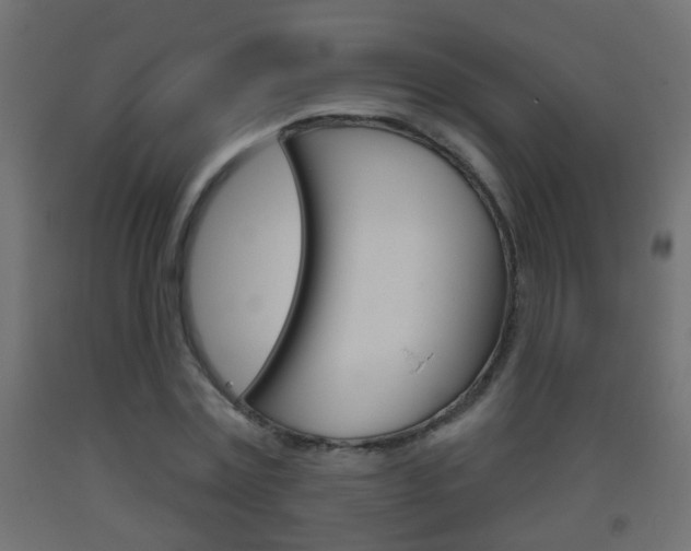 X0000093500779200710121042