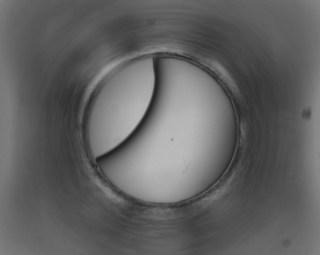 X0000093500780200710121042