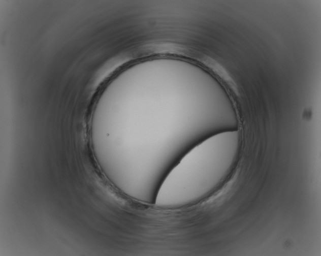 X0000093500782200710121042