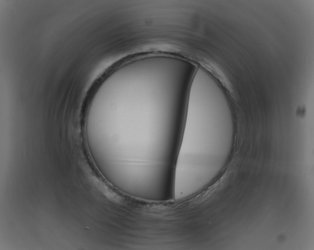 X0000093500784200710121042