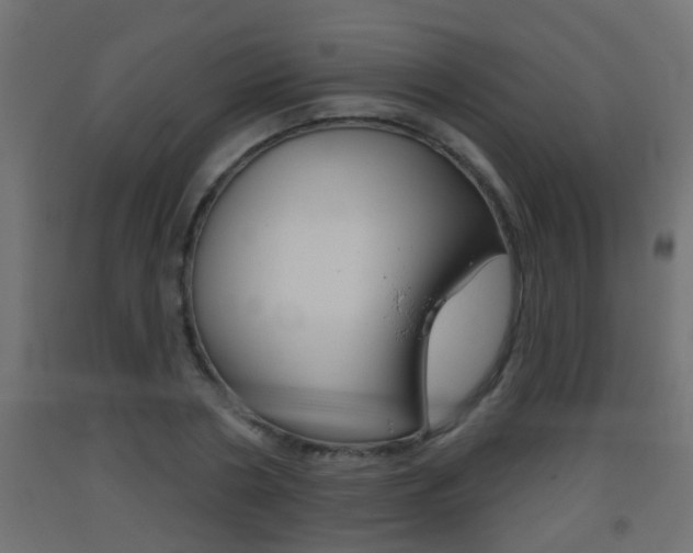 X0000093500786200710121042