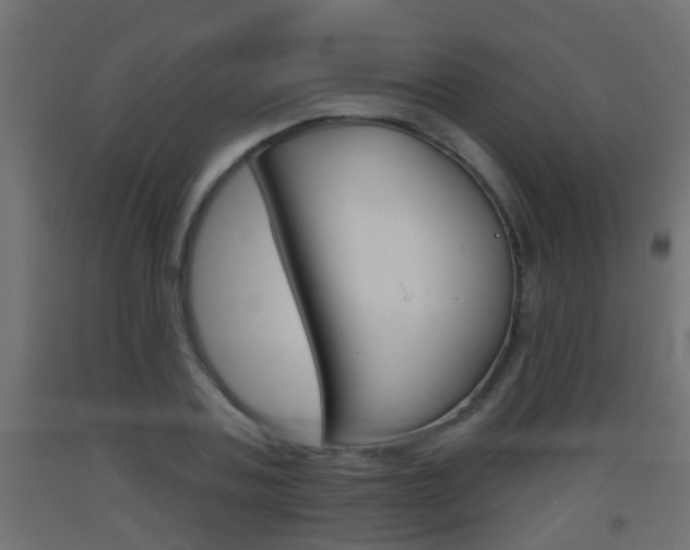 X0000093500787200710121042