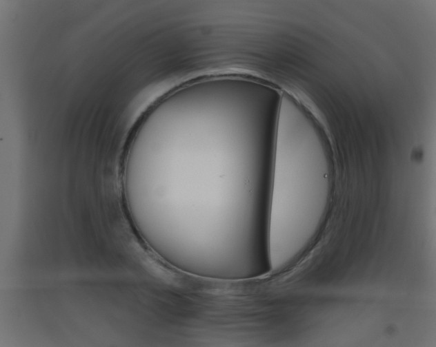 X0000093500789200710121042