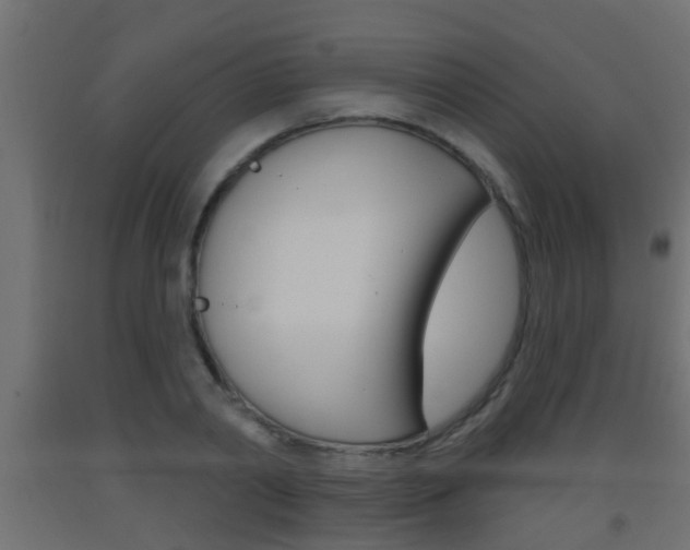 X0000093500790200710121042