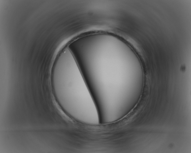 X0000093500791200710121042