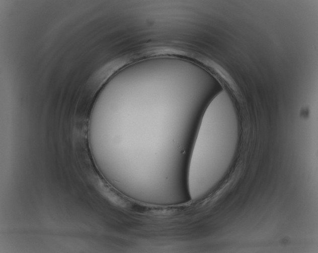 X0000093500793200710121042