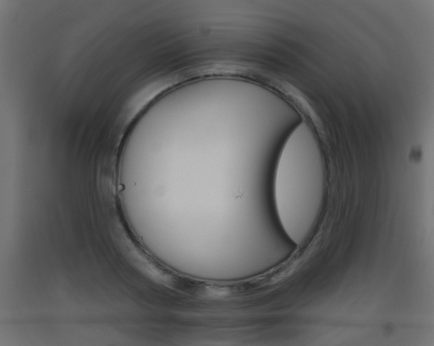 X0000093500794200710121042