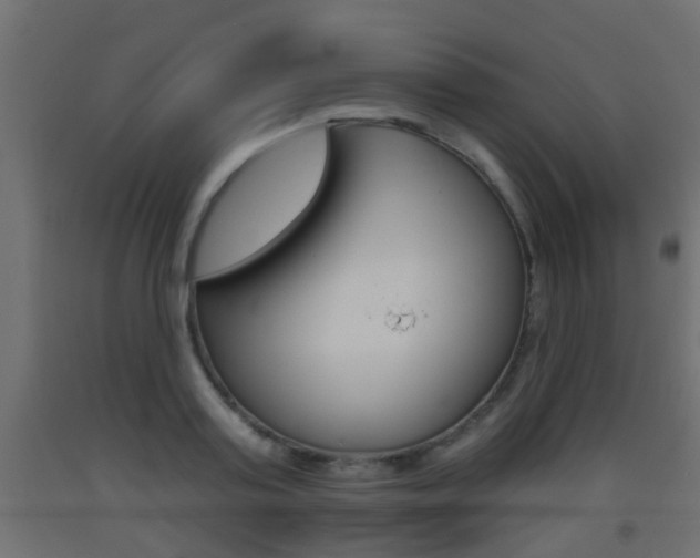 X0000093500795200710121042