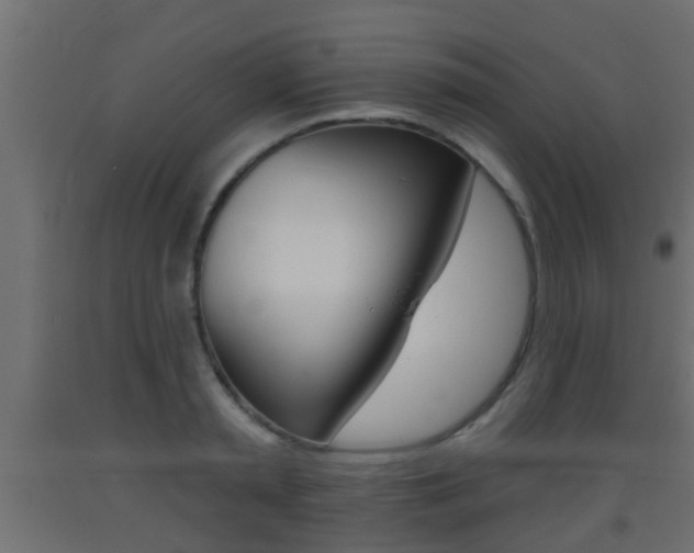X0000093500797200710121042