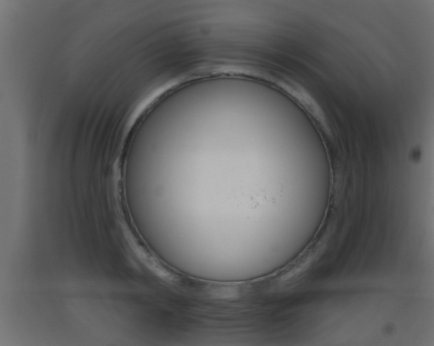 X0000093500798200710121042