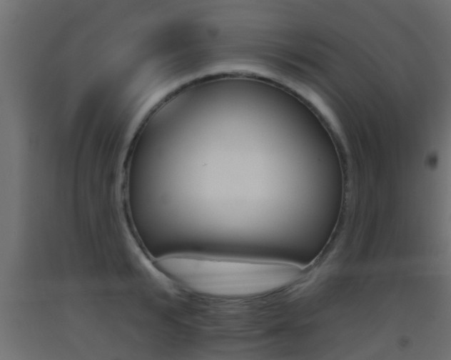 X0000093500799200710121042